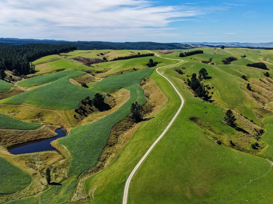 759 Waitahuna Gully Road, Lawrence 