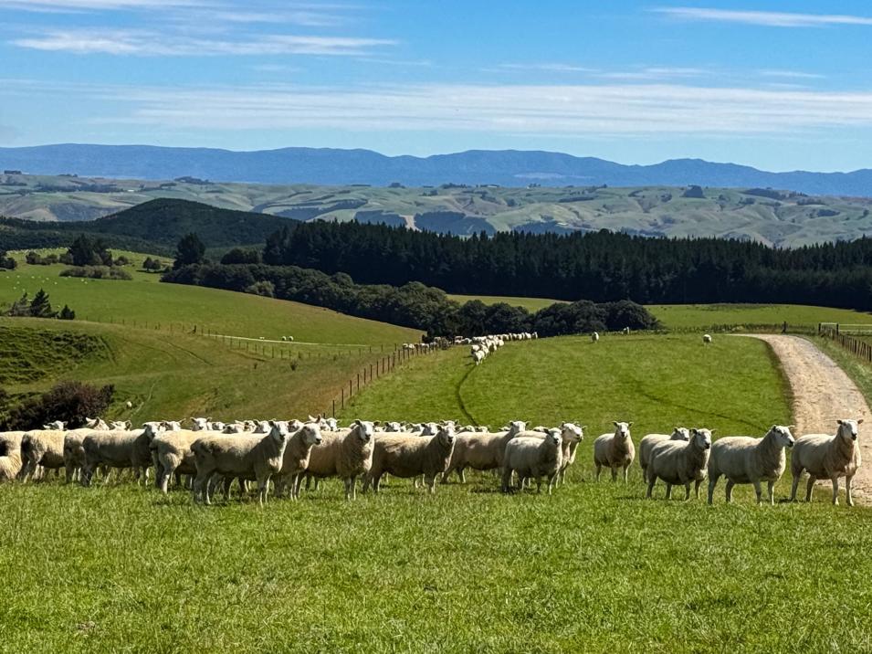 759 Waitahuna Gully Road, Lawrence 