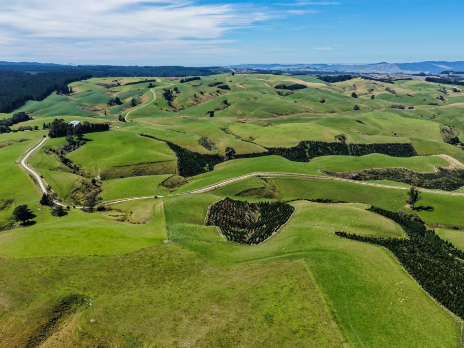 759 Waitahuna Gully Road, Lawrence 