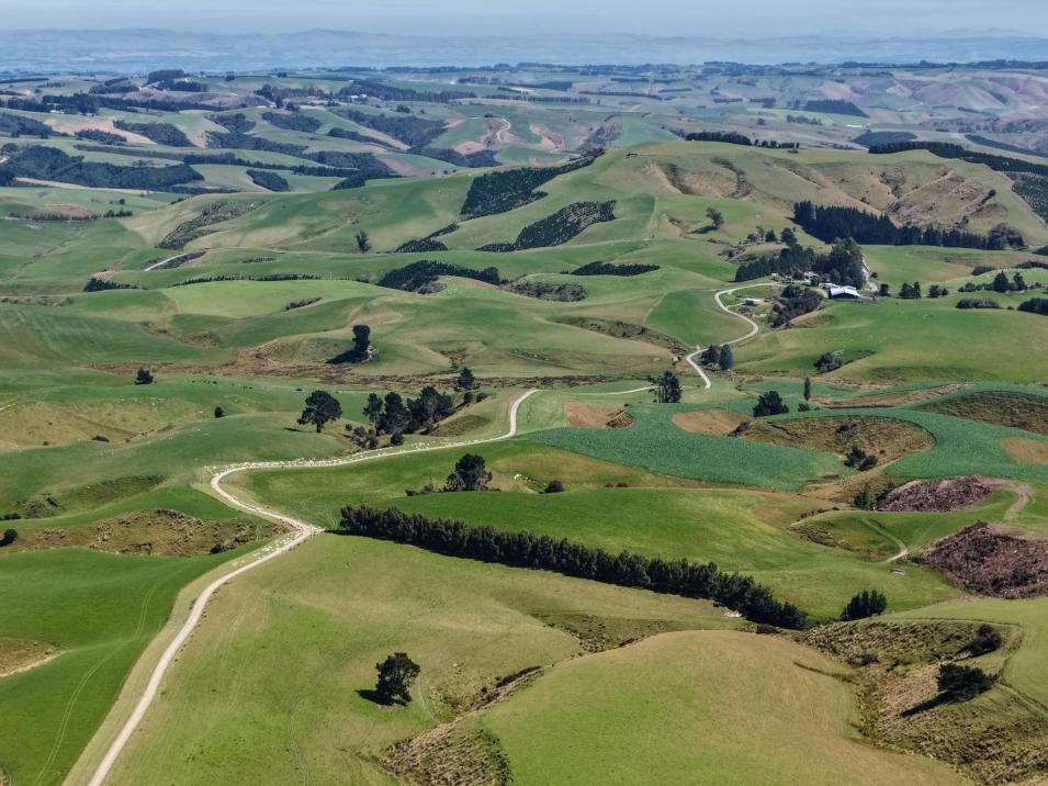 759 Waitahuna Gully Road, Lawrence 