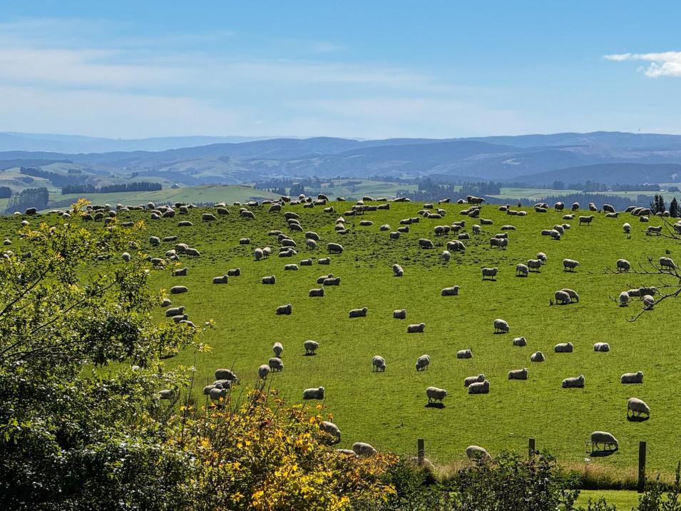 759 Waitahuna Gully Road, Lawrence 