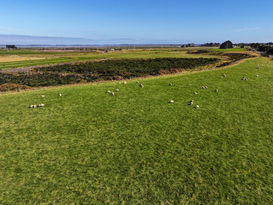 74 Tiwai Road, Invercargill