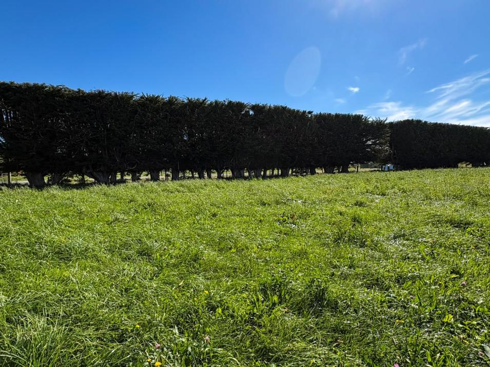 85 George Street, Edendale