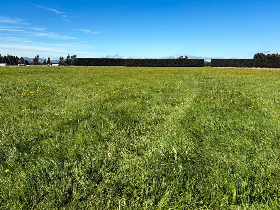 85 George Street, Edendale