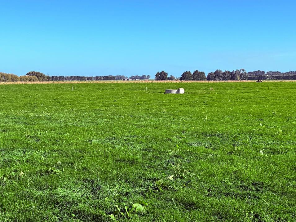 81 Tapper Road, Mokotua