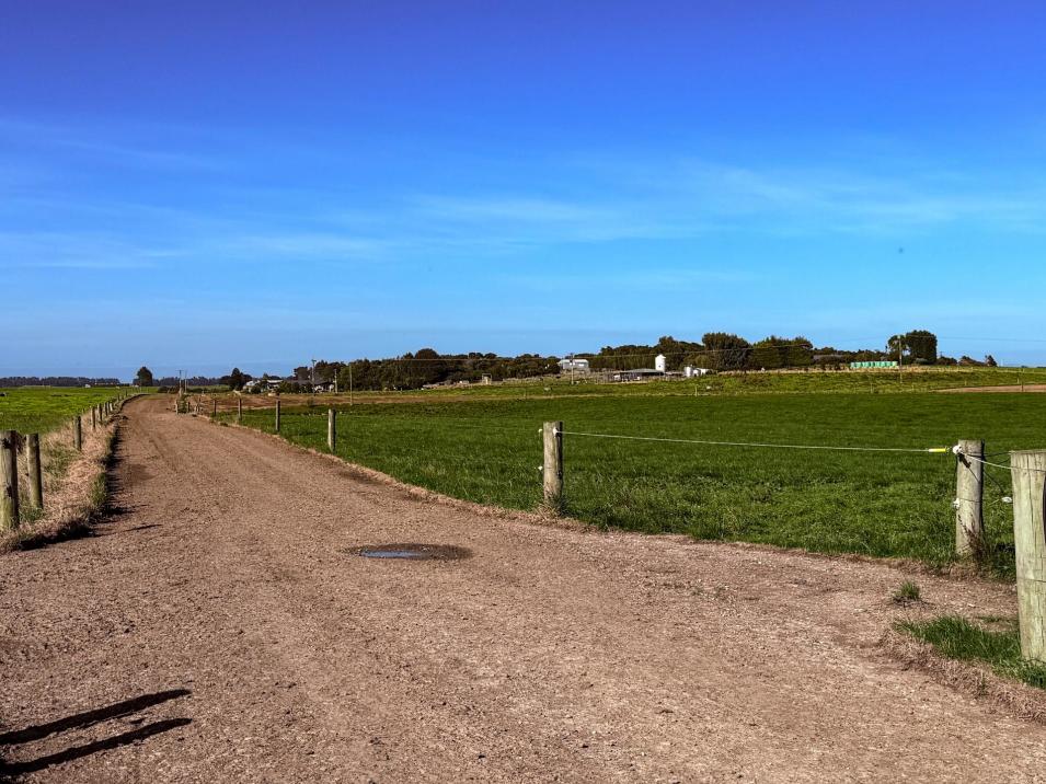 81 Tapper Road, Mokotua