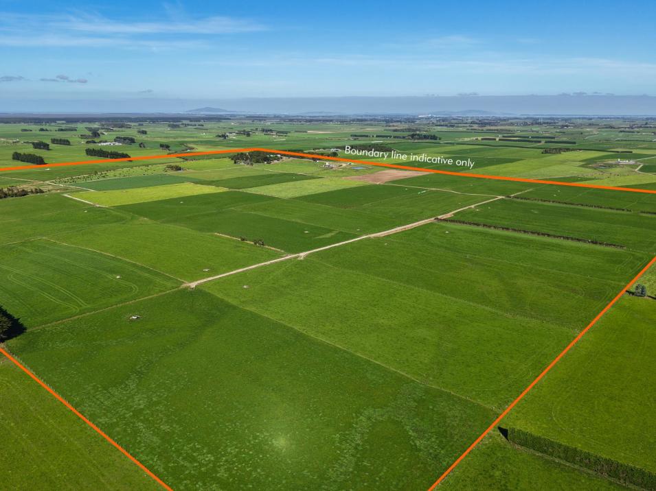 81 Tapper Road, Mokotua