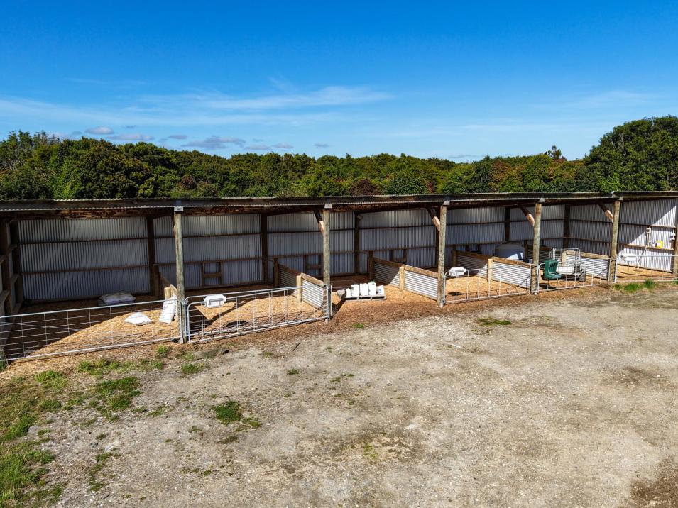 81 Tapper Road, Mokotua