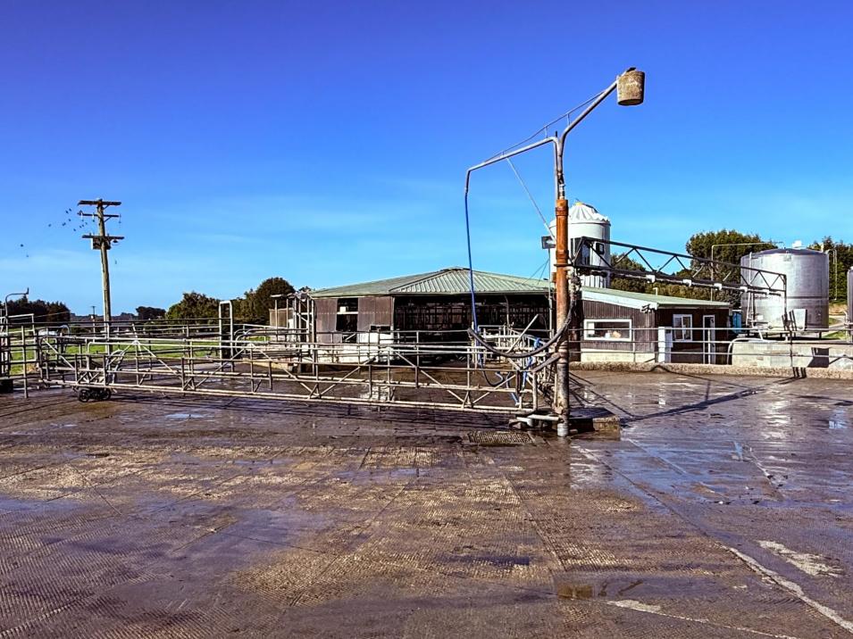 81 Tapper Road, Mokotua