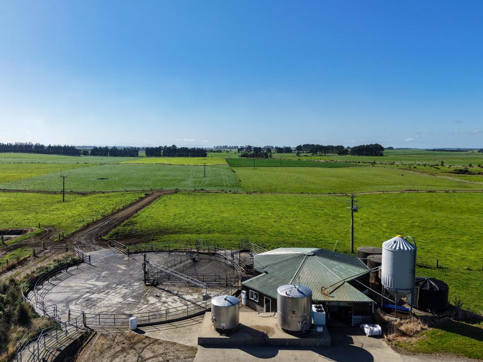 81 Tapper Road, Mokotua