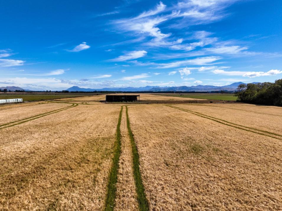 486 Steffan Road, St Patricks