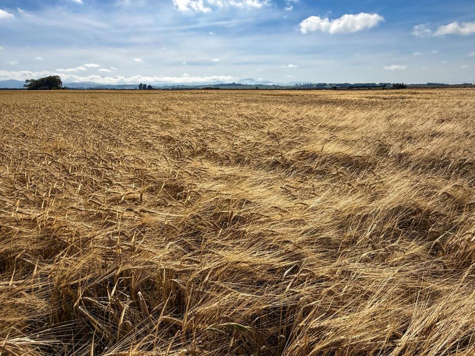 486 Steffan Road, St Patricks