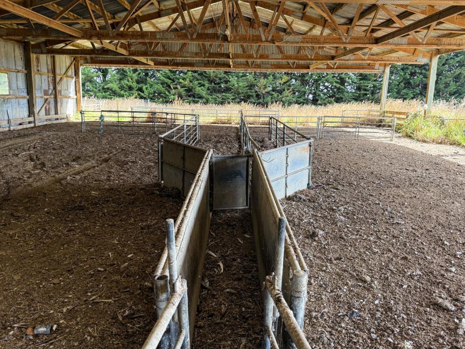 486 Steffan Road, St Patricks