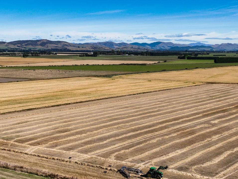 486 Steffan Road, St Patricks