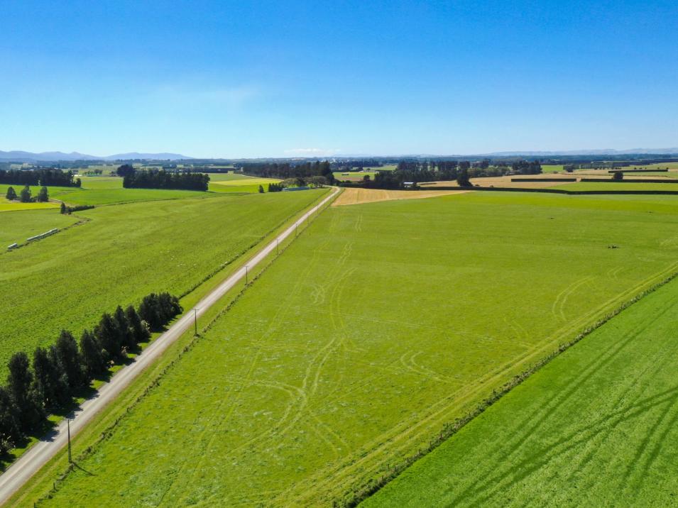 486 Irving Road and 150 Angle Road, Woodlands