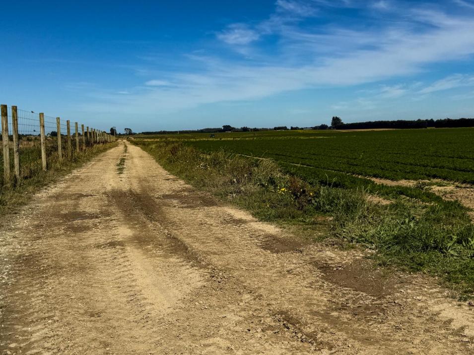 486 Irving Road and 150 Angle Road, Woodlands