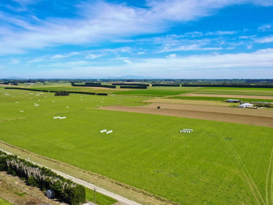 486 Irving Road and 150 Angle Road, Woodlands