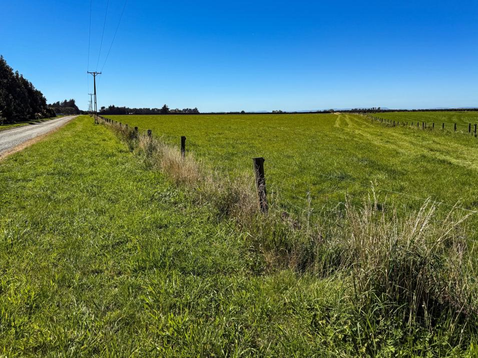 486 Irving Road and 150 Angle Road, Woodlands