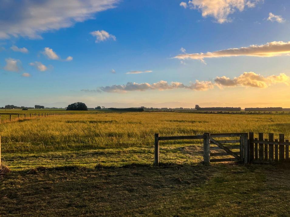 486 Irving Road and 150 Angle Road, Woodlands