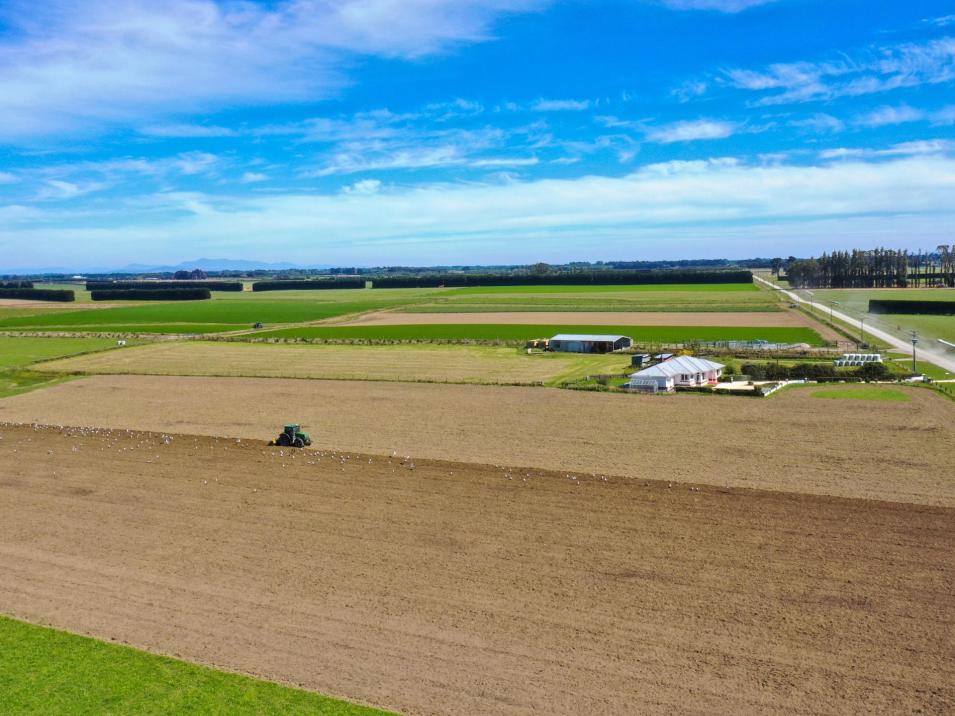 486 Irving Road and 150 Angle Road, Woodlands