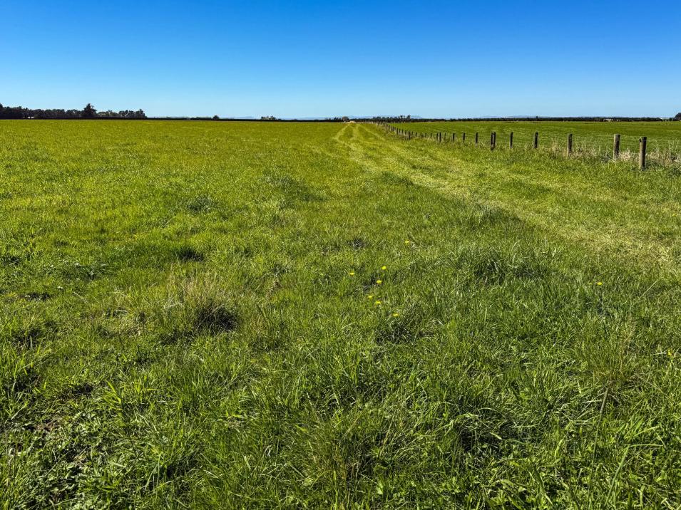 486 Irving Road and 150 Angle Road, Woodlands