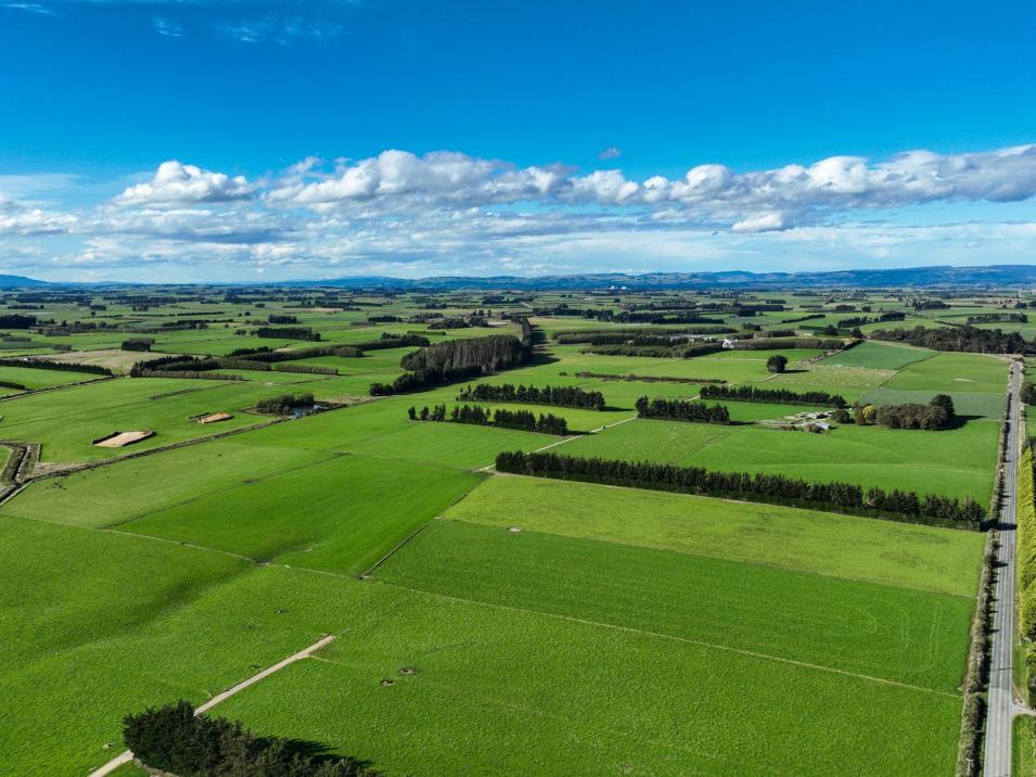 525 Woodlands-Morton Mains Road, Morton Mains