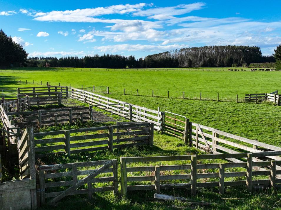 525 Woodlands-Morton Mains Road, Morton Mains