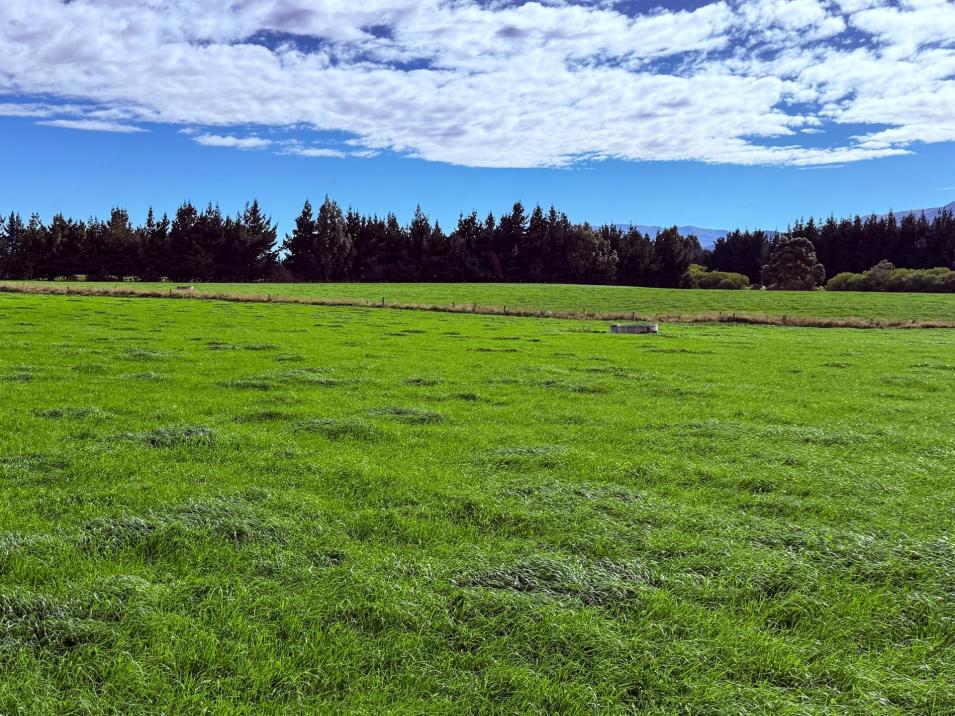 461 Chewings Road, Mossburn