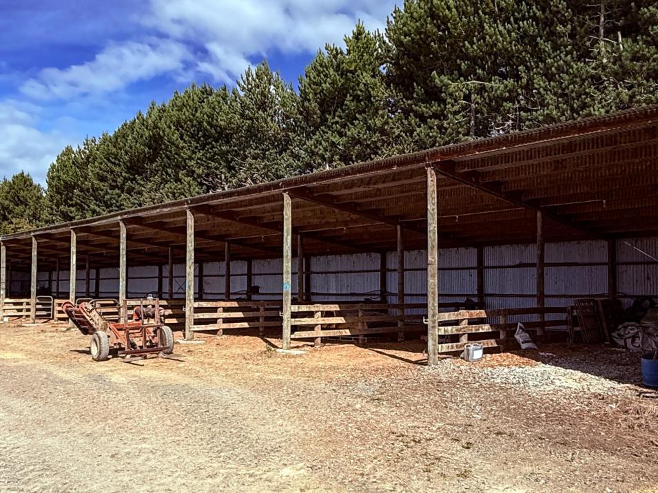 461 Chewings Road, Mossburn