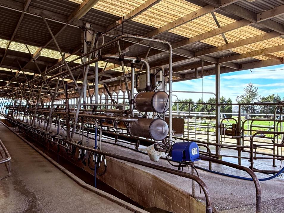 461 Chewings Road, Mossburn