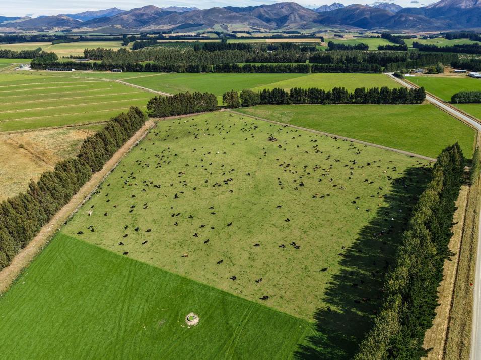 461 Chewings Road, Mossburn