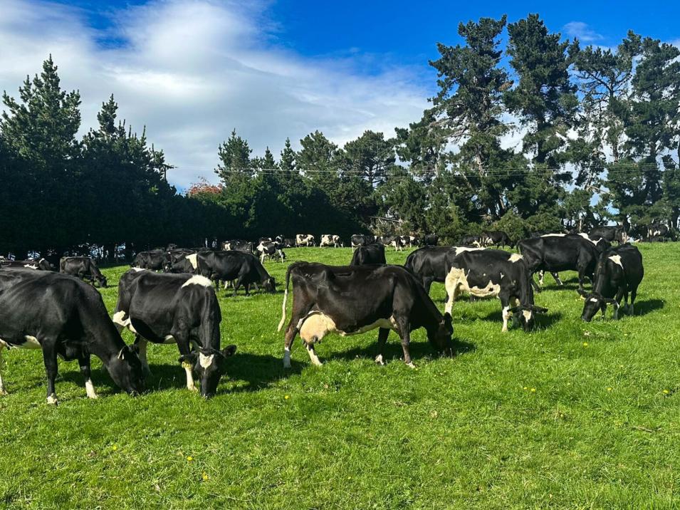 321-349 Chittock Road, Maitland