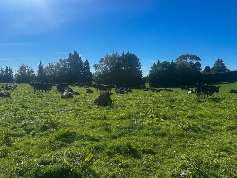 321-349 Chittock Road, Maitland