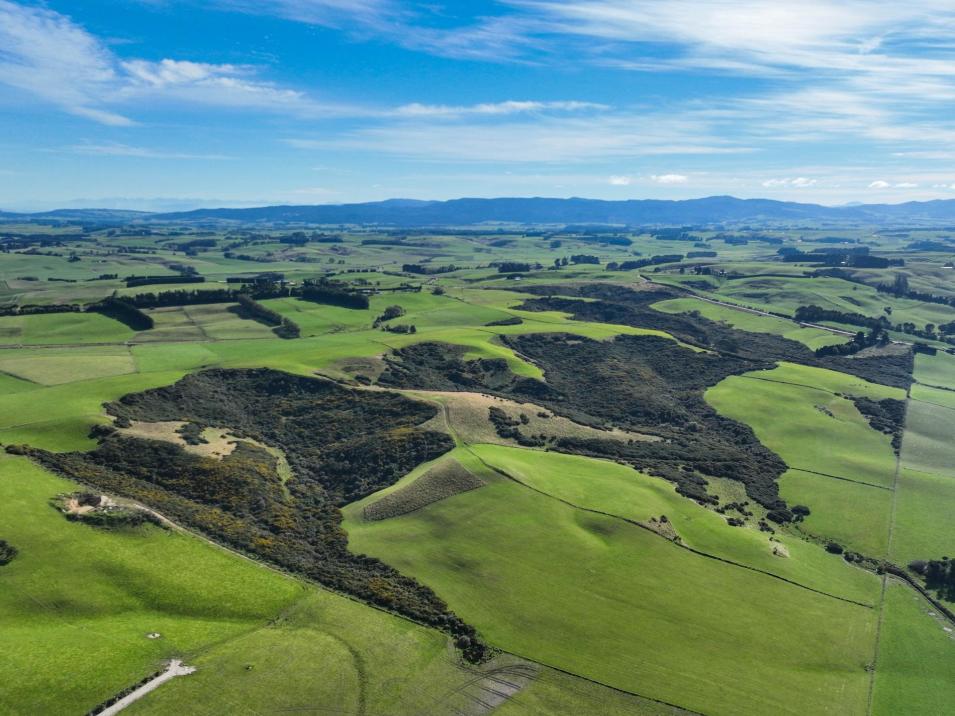 347 Brydone Glencoe Road, Brydone