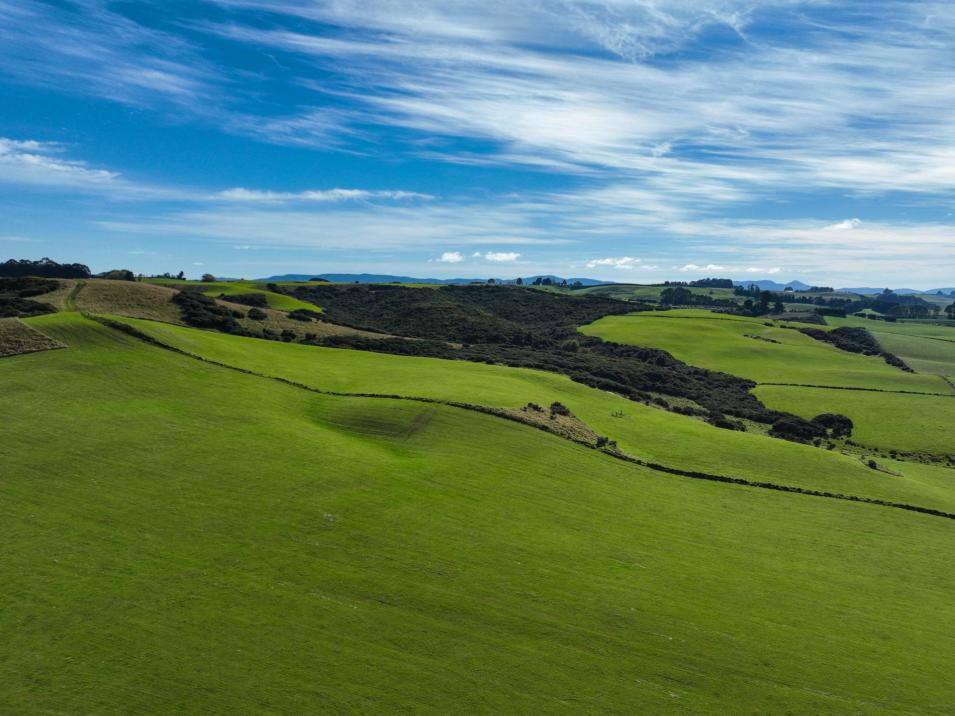 347 Brydone Glencoe Road, Brydone