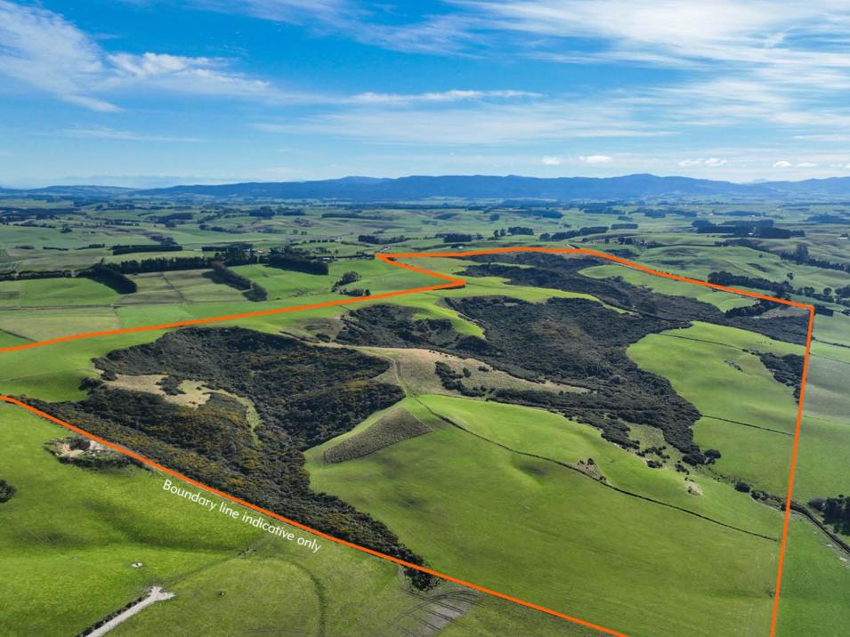 347 Brydone Glencoe Road, Brydone