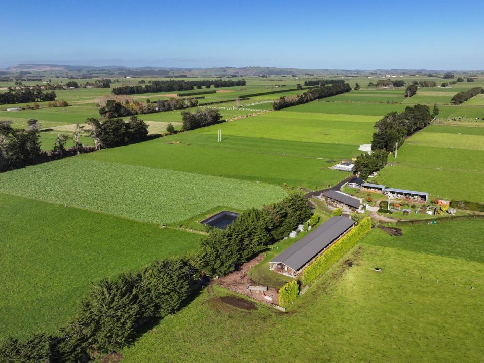 61 Donald Road, Edendale
