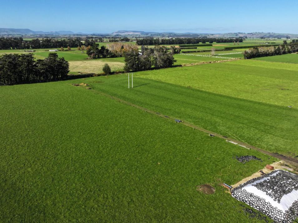 61 Donald Road, Edendale