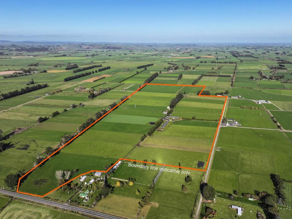 61 Donald Road, Edendale