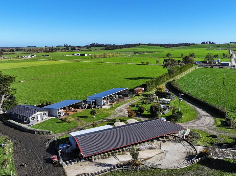 61 Donald Road, Edendale