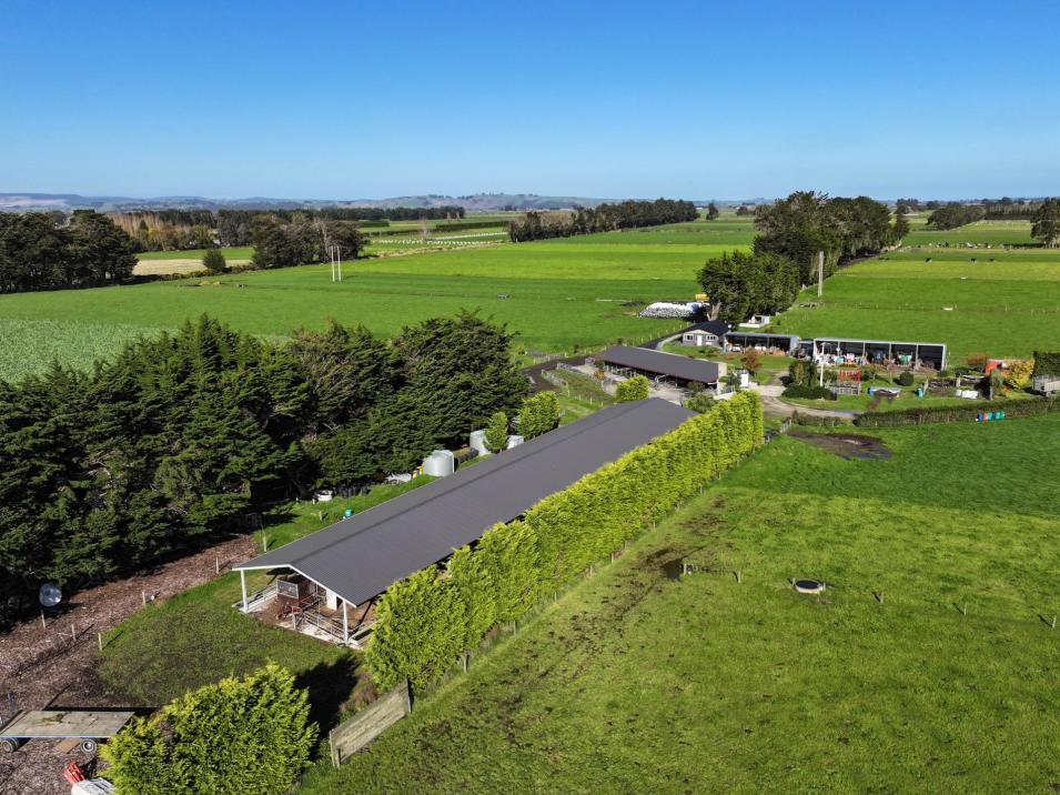 61 Donald Road, Edendale