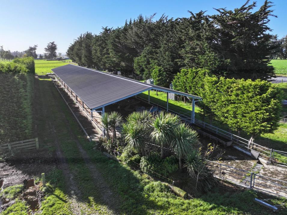 61 Donald Road, Edendale