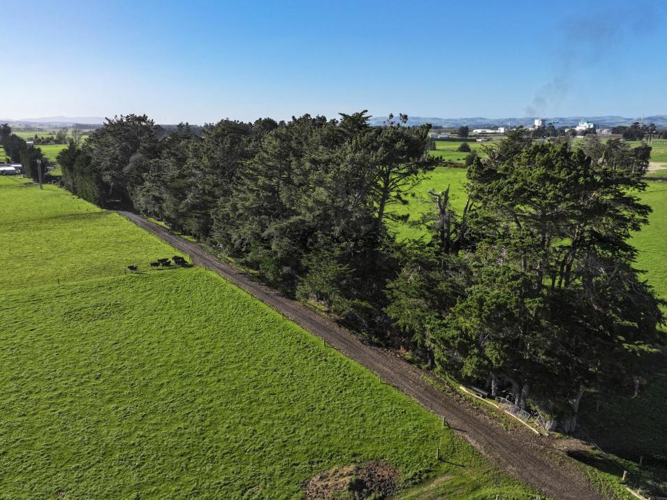 61 Donald Road, Edendale
