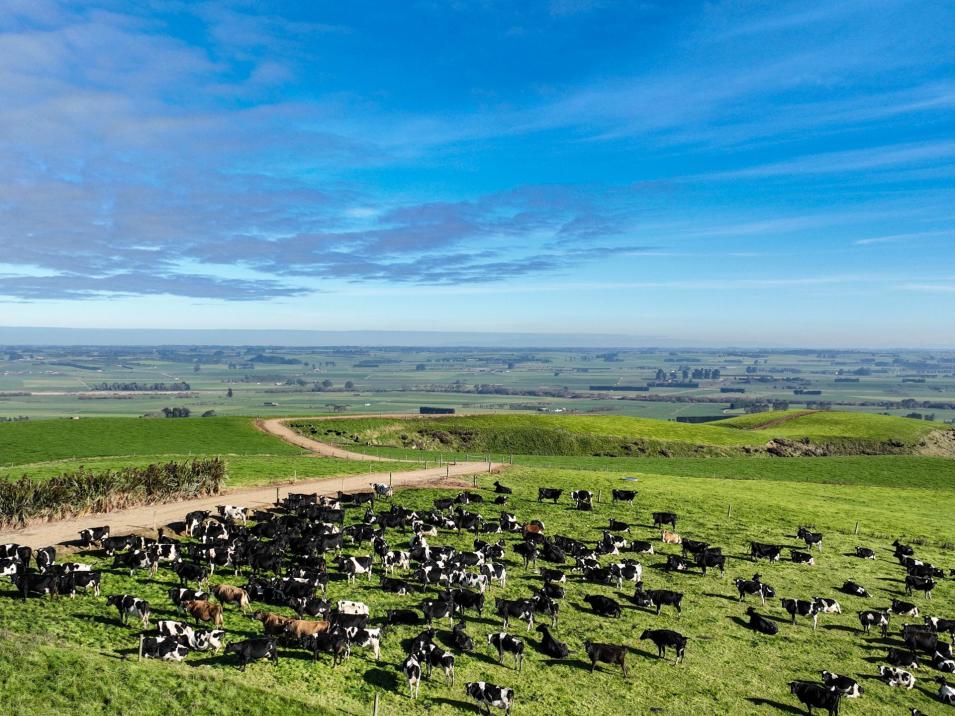 155 Robin Hood Road, Mataura Island