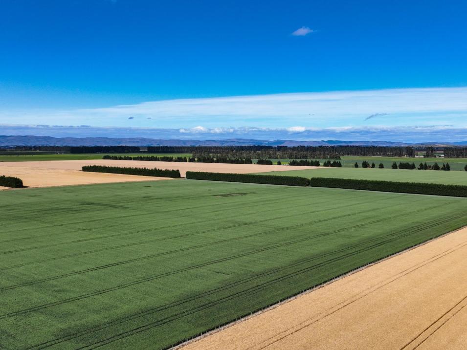 588 Freshford Plains Station Road, Wendonside