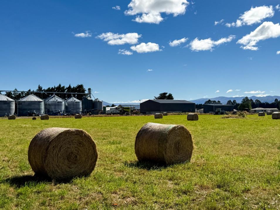 588 Freshford Plains Station Road, Wendonside