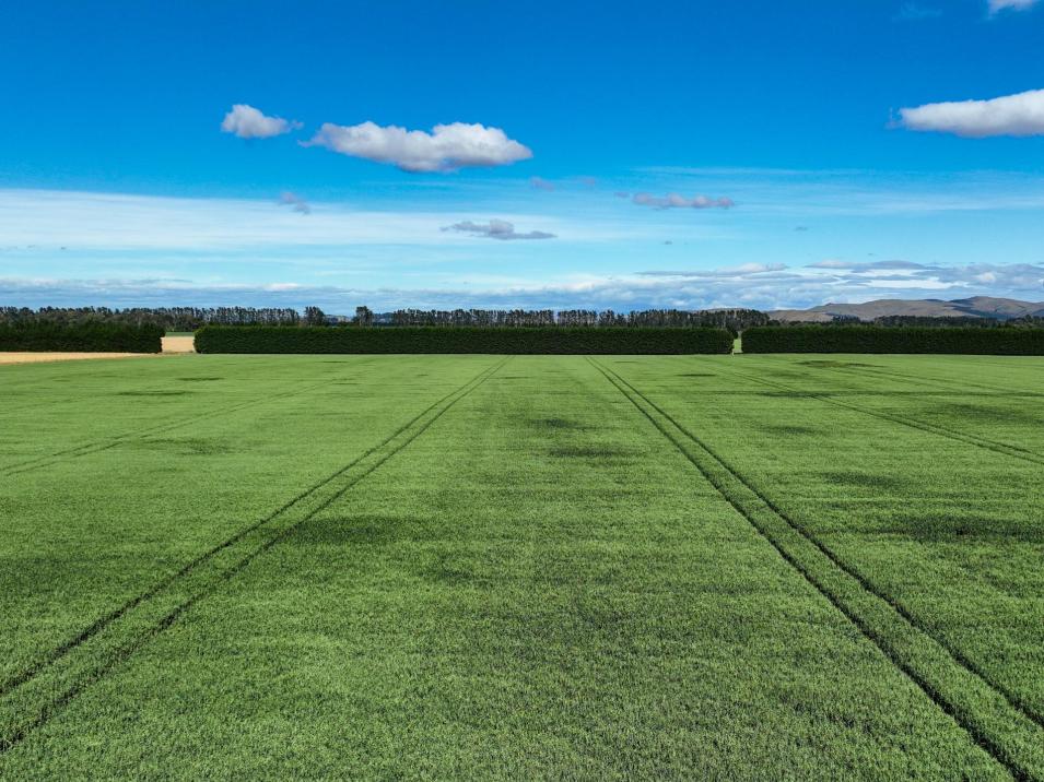 588 Freshford Plains Station Road, Wendonside