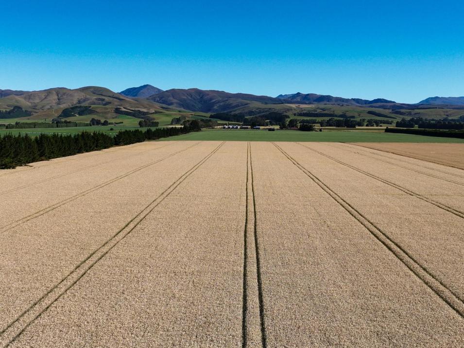 588 Freshford Plains Station Road, Wendonside