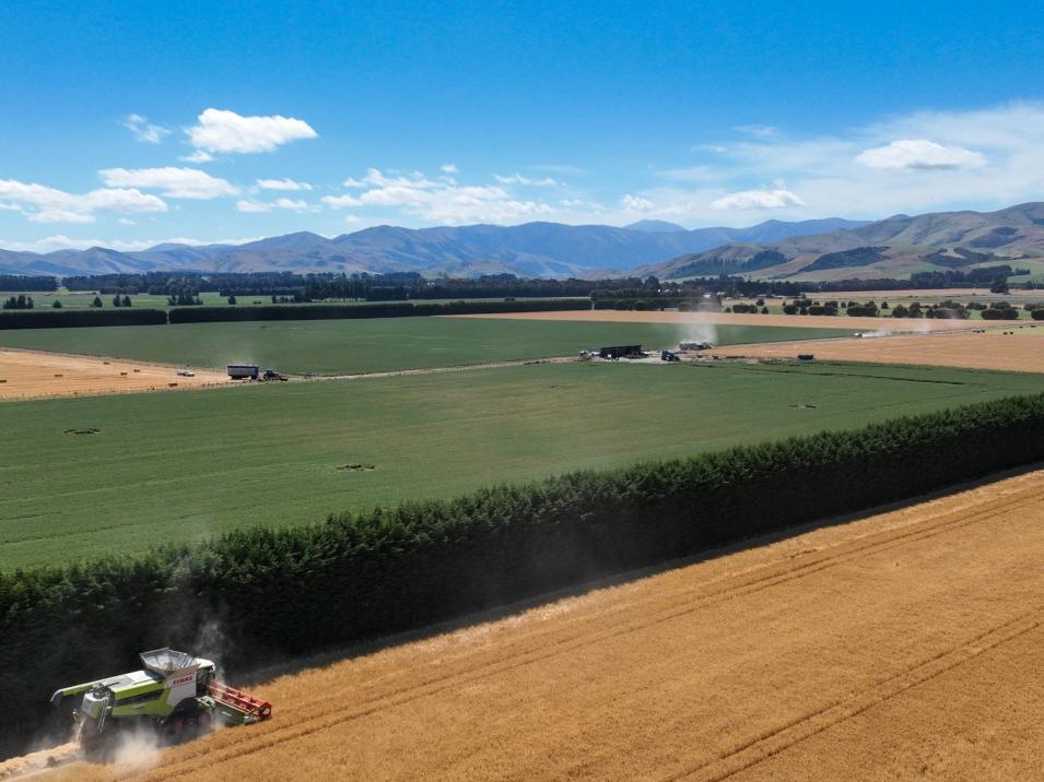588 Freshford Plains Station Road, Wendonside