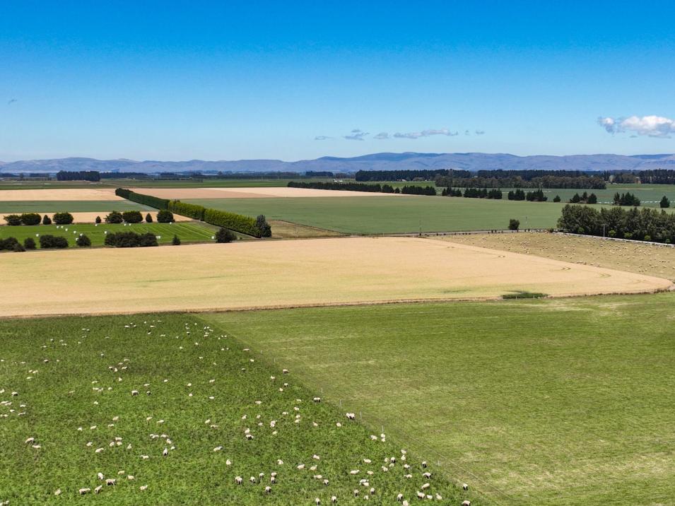 588 Freshford Plains Station Road, Wendonside